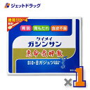 【第2類医薬品】恵命我神散 100g 4袋入