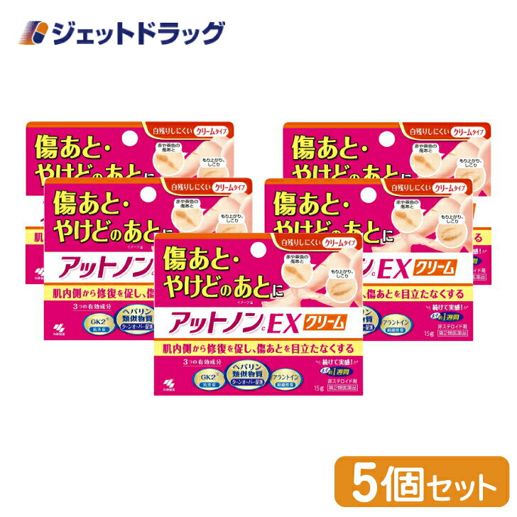 【第2類医薬品】アットノンEX クリーム 15g ×5個