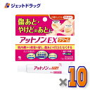 【第2類医薬品】アットノンEX クリーム 15g ×10個