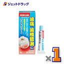 【第2類医薬品】メディケア デンタルクリームT 4g