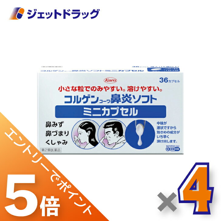 6/22~6/27ޤP5ܢ2ʡۥ륲󥳡ɡ꥽եȥߥ˥ץ 36ץ 4 եǥ...