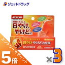 ≪マラソン期間中!全商品P5倍!限定先着クーポン有≫【第2類医薬品】パンパス軟膏 15g ×3個〔日やけ・やけど〕