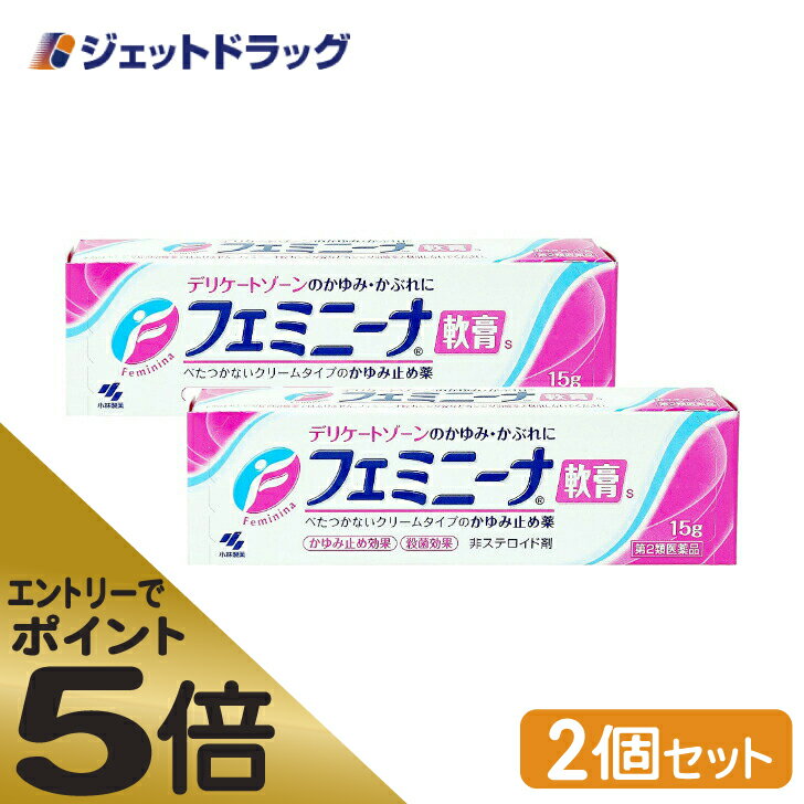 ≪スーパーSALE期間中エントリーで全商品P5倍！5日＆10日は限定クーポン有≫【第2類医薬品】フェミニーナ軟膏S 15g ×2個 ※セルフメディケーション税制対象