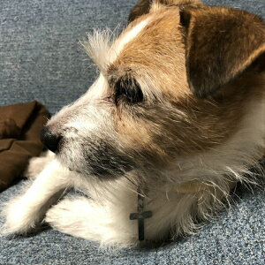 �������͹�ؤǤ��Ϥ����ޤ��ۡ��������ڥ����ȡ��İ����������ڥ����ȡ���°���������ڥ����ȡ����ƥ�쥹���������ڥ����ȡ����奯�����ڥ����ȡ������ѥ��å��������ѥ��������꡼