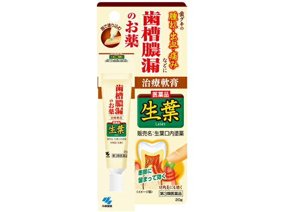 【第3類医薬品】薬 小林製薬 生葉口内塗薬 20g 液体 歯周病 歯肉炎 歯槽膿漏 口の薬 医薬品