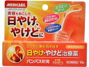 【第2類医薬品】薬)森下仁丹 パンパス軟膏15g 軟膏 クリーム すり傷 やけど ただれ 皮膚の薬 医薬品