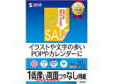 【お取り寄せ】サンワサプライ IJ両面印刷紙 超特厚A4 20枚 JP-ERV1NA4N A4 マット紙 インクジェット用紙