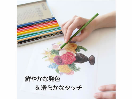 トンボ鉛筆 色鉛筆 12色セット CB-NQ12C 12色セット 色鉛筆 鉛筆 jetprice-10015956 JET PRICE サンプル画像3