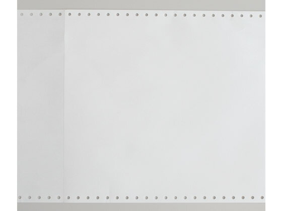 トッパンフォームズ 白紙ストックフォーム 10x11-1P 2000枚 1010L1 まとめ買い 業務用 箱売り 箱買い ケース買い 10 × 11 インチタイプ コンピュータ連続用紙 プリント用紙