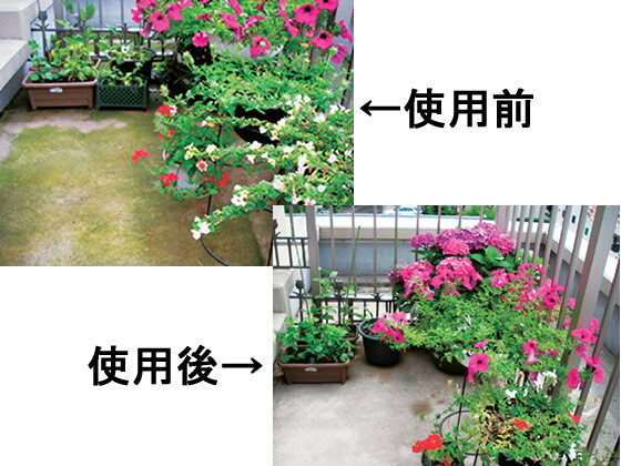 ���������� ����~�� ���������� 400mL TKTY-001 ���ӤȤ�� �ݽ������� ���� ����