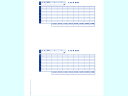 OBC 単票封筒用支給明細書 6202 300枚 6202 まとめ買い 業務用 箱売り 箱買い ケース買い 給与明細書 OBC 伝票 帳票 OA伝票