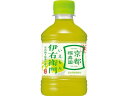サントリー 伊右衛門 280ml