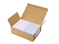 マルチプリンタ帳票 A4 カラー 2面 4穴 1000枚 CF2-4 まとめ買い 業務用 箱売り 箱買い ケース買い 2面タイプ 汎用帳票用紙 OA伝票 帳票