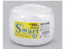 {wH Smart PPʊЂ 300m 1 ES-301 PPЂ փS [v 