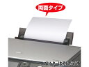 サンワサプライ OAクリーニングペーパー(両面タイプ・2枚入) CD-13W インクジェット用紙