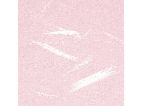 ������ PPC���»�(����)�ԥ� A4 100�� KB-W119P A4������ �ԥ󥯷� �� ���顼���ԡ��ѻ�