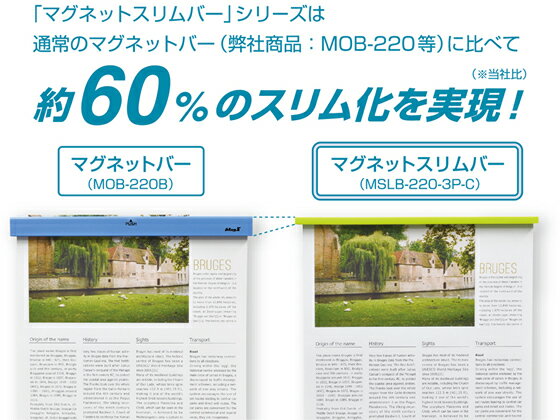 �ޥ����å��� �ޥ��ͥåȥ����С� ���ꥢ 10�� MSLB-220-10P-KT �ޥ��ͥåȥС� �ޥ��ͥå� �Ǽ�ʪα�� �߲��� POP �Ǽ�