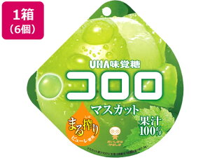 UHA味覚糖/コロロ マスカット 6個入