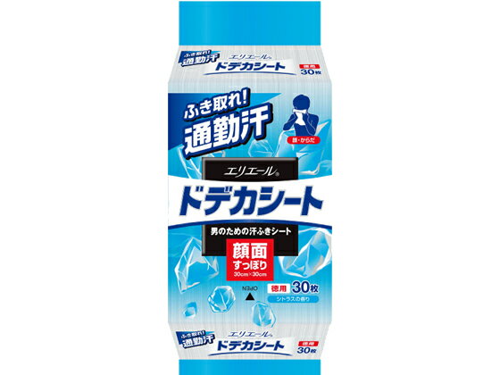 大王製紙 エリエールforMEN ドデカシート徳用 30枚 制汗剤 デオドラント エチケットケア スキンケア