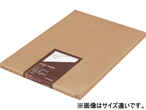 【仕様】●仕様（連量）：93．5Kg●紙厚：157g／m2（0．19mm）●サイズ：A2●材質：ケント紙●注文単位：1包（100枚）【検索用キーワード】こくよ　ケントシ　けんとし　文房具　デザイン用紙　A2サイズ　157g　製図用品　セ−KP17　セKP17　100枚　KOKUYO