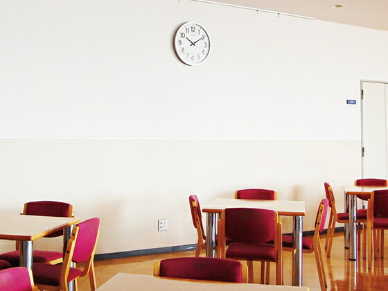 ���󥰥��� ���ȳݻ��� ���顼�� GDK-001 �ɳݤ����Ȼ��� �礭�� �緿���Ȼ��� �ݤ����� ���Ȼ��� 50cm �ɳݤ� ���� �ݤ����� ����