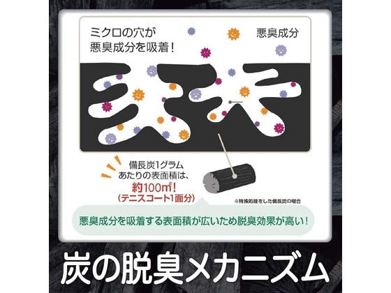 エステー 脱臭炭 冷蔵庫用 脱臭剤 除湿 脱臭剤 殺虫 防虫剤
