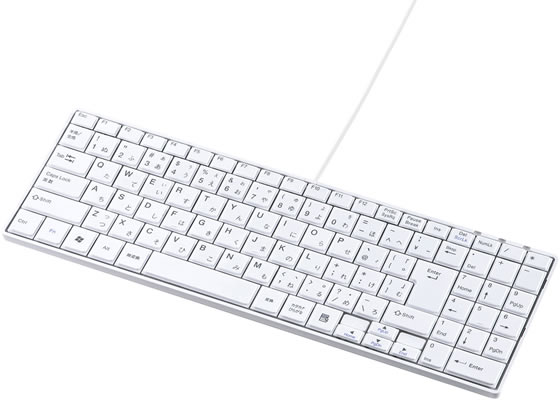 Ps/2 Connector - 【お取り寄せ】サンワサプライ USBスリムキーボード テンキー付き ホワイト SKB-SL17WN キーボード マウス 入力機器 パソコン 家電