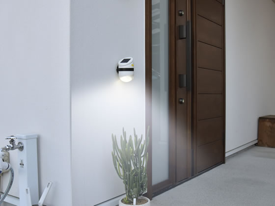 �ॵ�� �ɤ��Ǥ⥻�󥵡��饤�� �����顼 ASL-093 �������󥵡��饤�� �������� �饤�� ������� ����