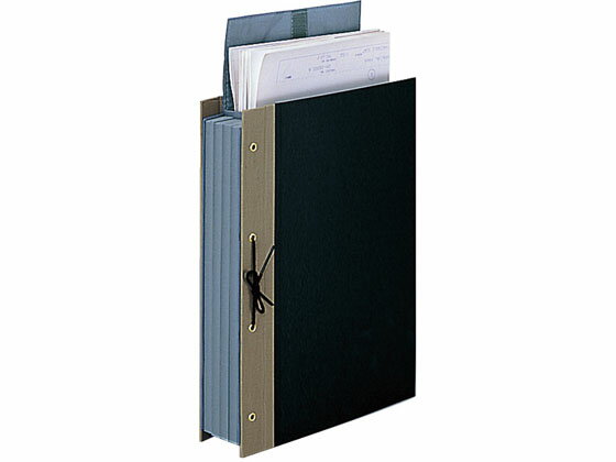 �ڤ����󤻡ۥ����� ���������� �̥ե����ʡ��� A4 4�� 10�� ��-FZ219-3 ������ ��Ϣ ���̥ե����� �ɥ�����ȥ���꡼ �ե�����