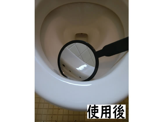 ラグロン トイレ尿石黄ばみとりGEL トイレ用洗剤 掃除用洗剤 洗剤 清掃