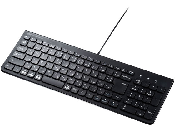 Ps/2 Connector - 【お取り寄せ】サンワサプライ USBスリムキーボードテンキー付ブラック SKB-SL31BK キーボード マウス 入力機器 パソコン 家電