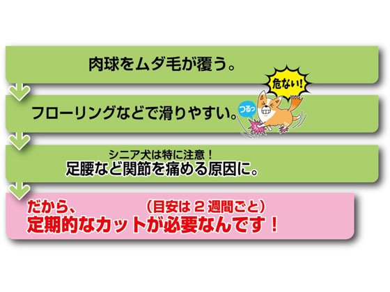 �ɥ����ޥ�ϥ䥷 �ۡ���С��С� ��ʬ���åȥХꥫ�� �� �ɥå��� �ڥå� ����