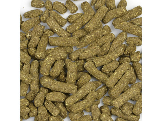 【お取り寄せ】三晃商会 デグープラス ダイエットメンテナンス 600g F21 ハムスター ウサギ フード 小動物 ペット ウサギ ハムスター