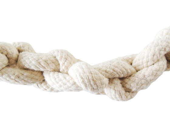 �ڤ����󤻡ۥڥåĥ롼�� ���Ӥʤ������� ����ѥ���� ��ư��� ������� �� �ɥå��� �ڥå� ������ ���襰�å� �ڥåȥϥ���