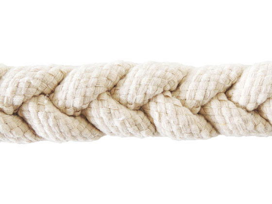 �ڤ����󤻡ۥڥåĥ롼�� ���Ӥʤ������� ������ ��ư��� ������� �� �ɥå��� �ڥå� ������ ���襰�å� �ڥåȥϥ���