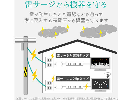 【お取り寄せ】エレコム 埃シャッター付雷ガード...の紹介画像2
