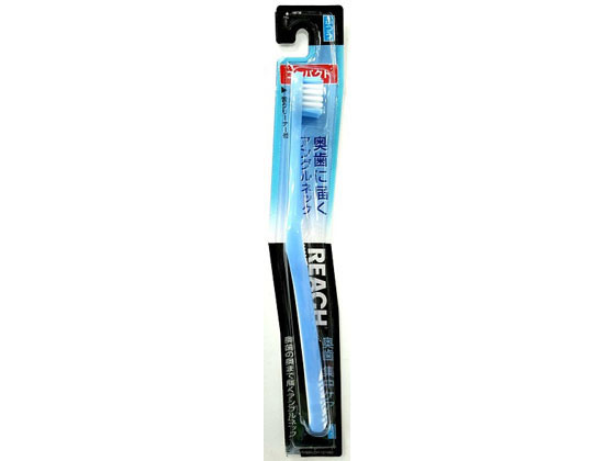 銀座ステファニー リーチ 奥歯集中ケア コンパクト ふつう