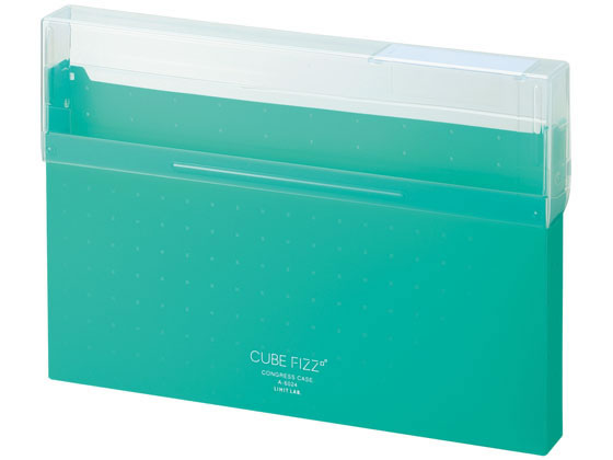 【お取り寄せ】リヒトラブ CUBE FIZZ コングレスケース A4 グリーン A6024-7 ケースファイル 書類ケース 書類キャリー ドキュメントキャリー ファイル