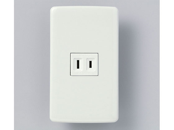 JET PRICEの【お取り寄せ】朝日電器 エレガントコンセントセット 1口用 B-1950H 電設資材 配線パーツ 電源タップ 家電｜アングル2