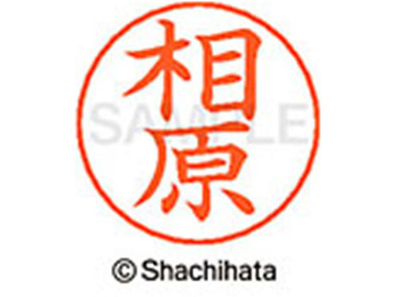 【商品説明】ネームペンのネーム印を交換したい場合にご使用ください。【仕様】●アイハラ●印面サイズ：直径9mm●書体：楷書体●インキ色：朱色●カートリッジ式●対応補充インキ：XLR−GP●透明プラケース入り●GPNエコ商品ねっと掲載【備考】※メーカーの都合により、パッケージ・仕様等は予告なく変更になる場合がございます。【検索用キーワード】シヤチハタ　シャチハタ　ネームペンネーム　ネーム印　ネームペンのネーム　ネーム部品　印面のみ　名前のみ　苗字のみ　名字のみ　オプション品　交換部品　紛失　浸透印　XLR−GP　顔料　油性　油性顔料　直径9mm　9ミリ　朱色　X−GPS−0004　XGPS0004　卒業式　進級　進学　就職　退職　ギフト　贈答品　アイハラ　あいはら　ネーム印（その他）　ネーム印（その他）　S46920ネームペン各種のネーム部既製品です