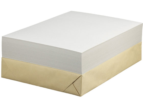 【お取り寄せ】セキレイ 白ボール紙 A3 100枚 CA3 板目表紙 製本