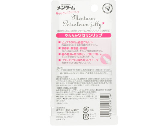 �ڤ����󤻡۶Ṿ����� ��󥿡��� �糧����å� 10g ��åץ��� �ե��������� �����󥱥�