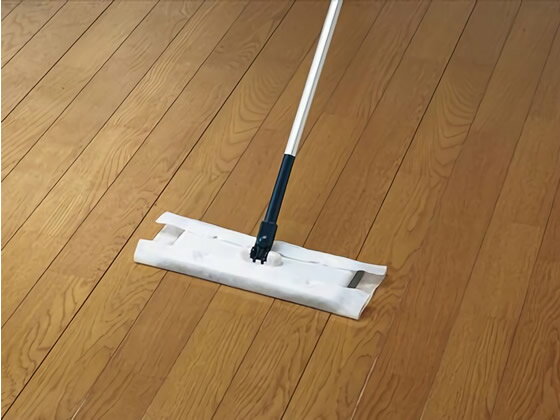 ���껺�� ���뤬����ե�������ѥ����åȥ�����20���� �ե�����󥰥��꡼�ʡ����ؤ������� �ե�����󥰥��꡼�ʡ� ����