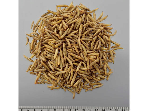 【お取り寄せ】ジェックス RepDeliバグプレミアム45g フード 小動物 ペット ウサギ...