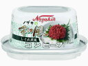 ノザキ 和風コンビーフ 80g