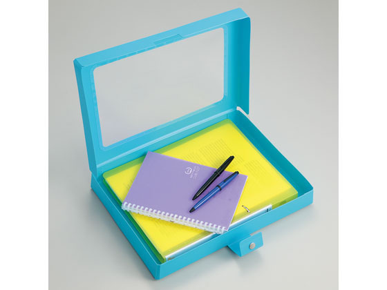 リヒトラブ CUBE FIZZ ハンドケース ピンク A699-12 書類ファイル ケースファイル 書類ケース 書類キャリー ドキュメントキャリー ファイル