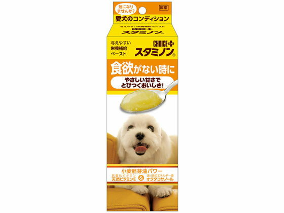 Beer Yeast - 【お取り寄せ】アースペット チョイスプラス スタミノン 食欲40g おやつ 犬 ペット ドッグフード