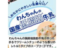 【お取り寄せ】ドギーマンハヤシ スープごはん ササミと緑黄色野菜入り プレミアムフード 犬 ペット ドッグ