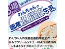 【お取り寄せ】ドギーマンハヤシ 13歳から用 スープごはん ササミと緑黄色野菜入 プレミアムフード 犬 ペット ドッグ