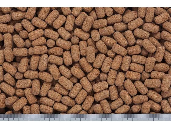 【お取り寄せ】キョーリン 超おおきなカメのエサハイパークリア600g かめ用フード ...